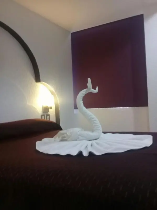 Hotel Santiago 9